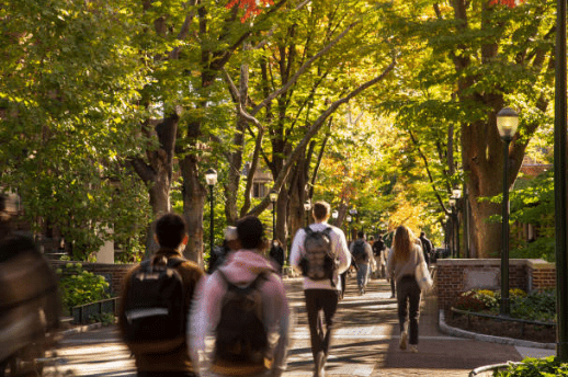 Students walking on autumn campus walkway